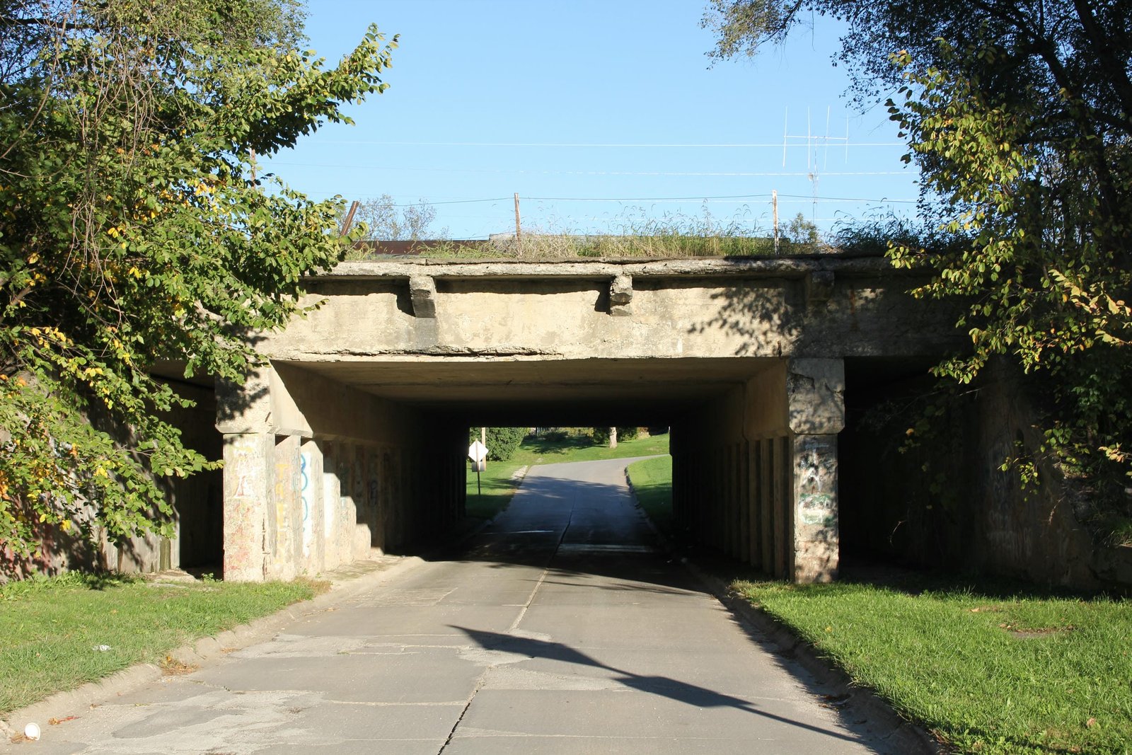 Overview